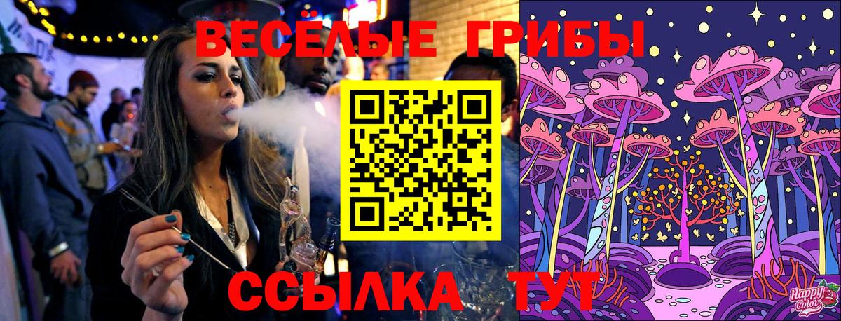 Псилоцибиновые грибы Psilocybine cubensis Иваново